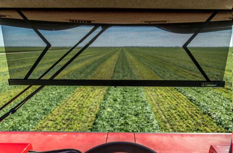 2025 Massey Ferguson WR265 Self-Propelled Windrower - Photo 11