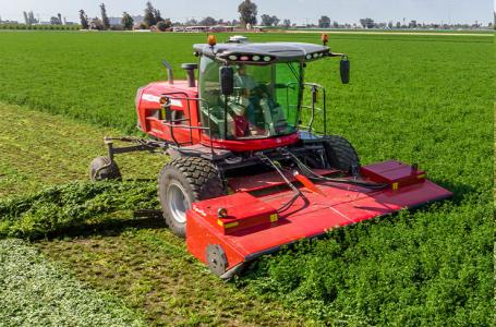 2025 Massey Ferguson WR235 Self-Propelled Windrower - Photo 6