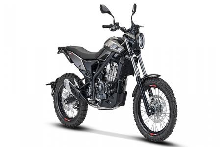 2026 Beta Motorcycles Beta 350 ALP X-Dark Gray