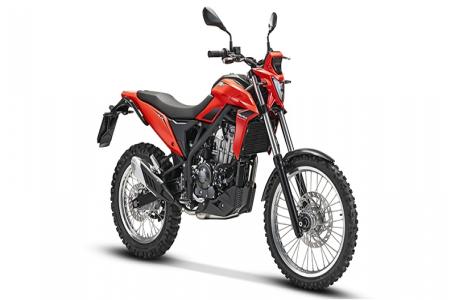 2026 Beta Motorcycles ALP 4.0 - Photo 13