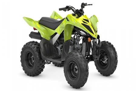 2026 Yamaha RAPTOR 110 - Photo 3