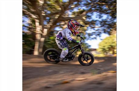 2025 STACYC STACYC 16eDrive Elite 36V - Photo 14