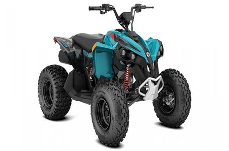 2026 Can-Am RENEGADE 110