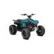 2026 Can-Am Renegade 110 EFI