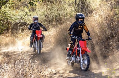 2026 Honda CRF® 110F - Photo 6