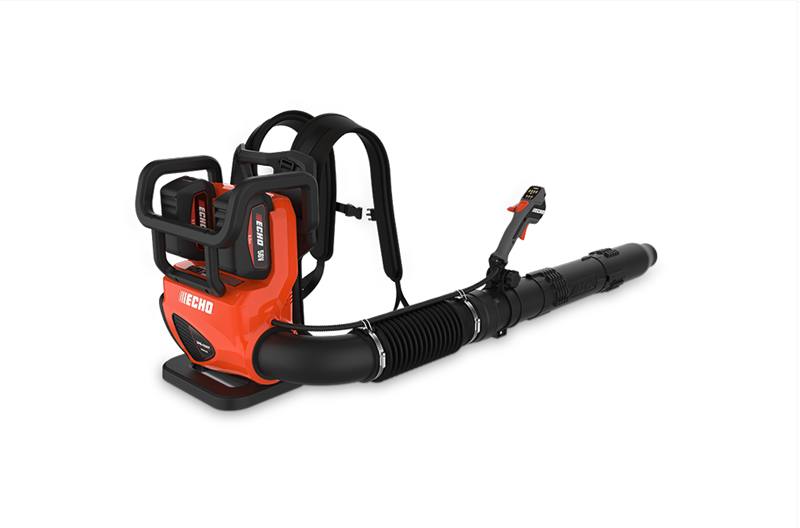 itemYear ECHO DPB-5800TD2-2 With 2 Batteries & Dual Port Charger