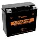 GYZ Series Battery