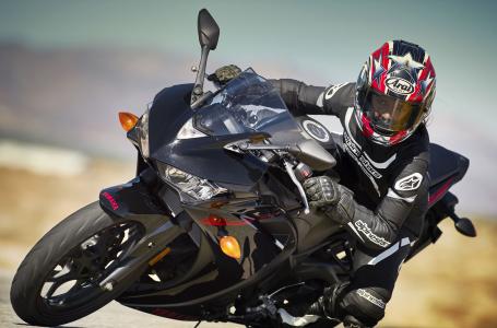 2015 Yamaha YZFR3FL - Photo 2