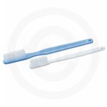 Graham Field Toothbrush - Thumbnail 4