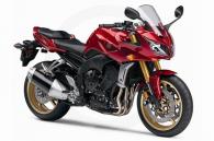 2008 Yamaha FZ 1