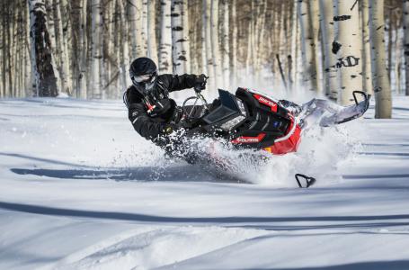2016 Polaris 800 PRO RMK 155 - Photo 3