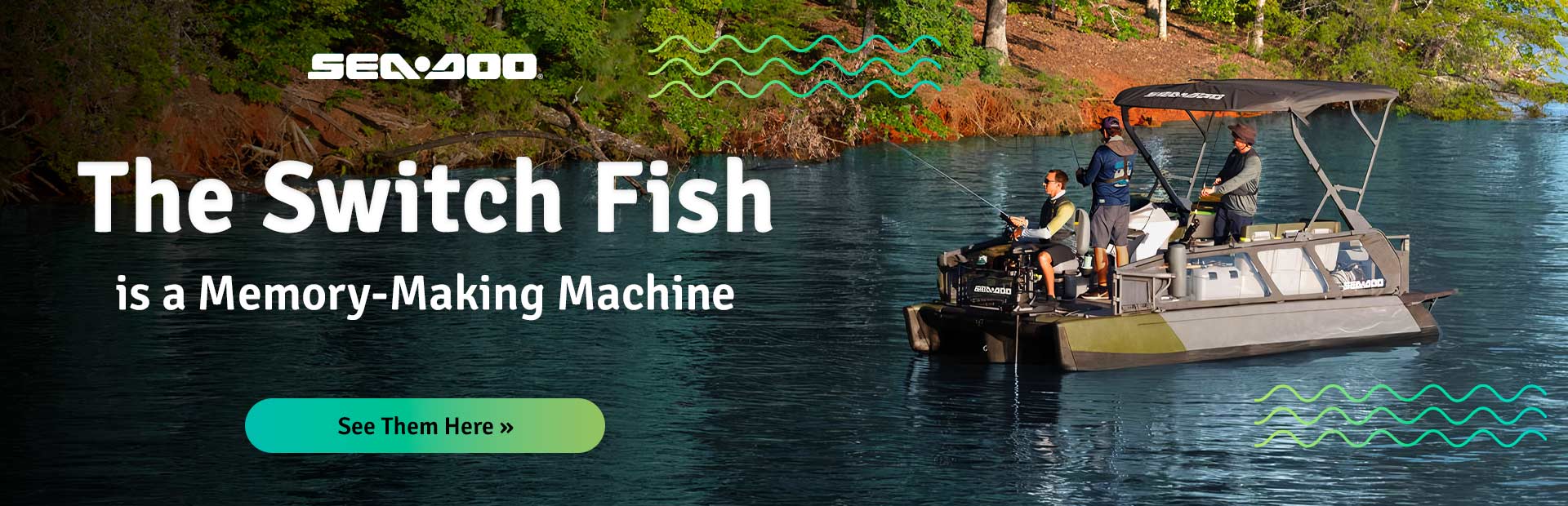 The Switch Fish 