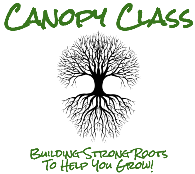 Canopy Class | Next Class is March 7th at Burke Outdoor