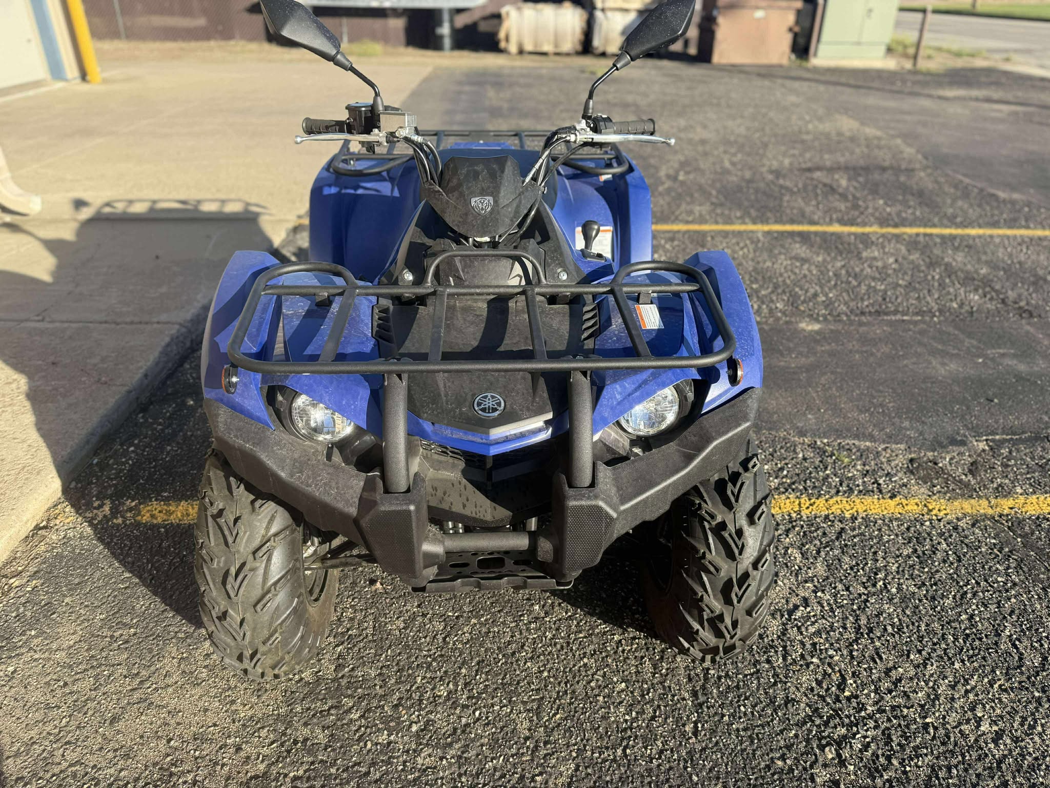 2024 Yamaha Kodiak 450 - Photo 3