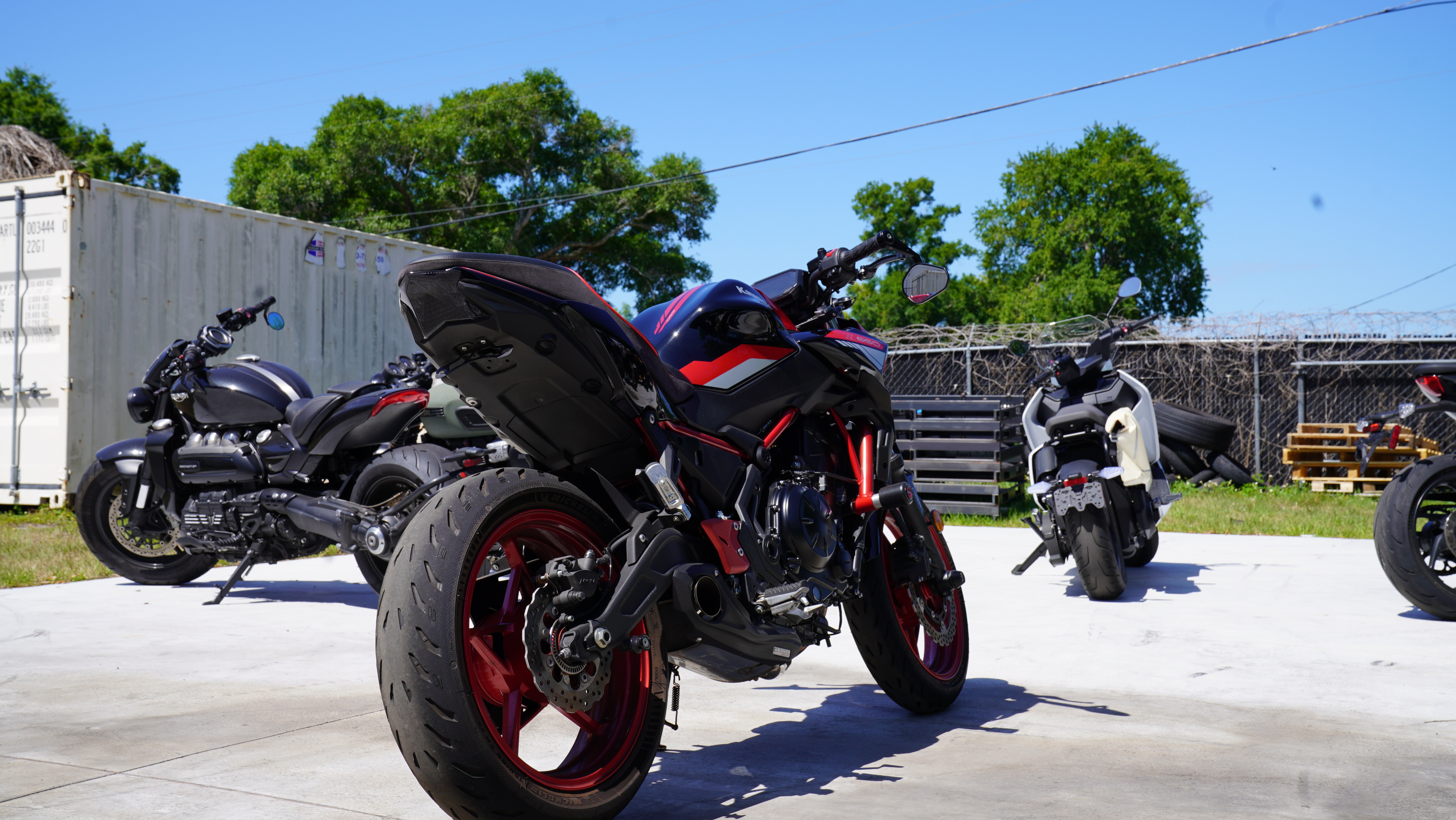 2024 Kawasaki Z650 ABS for Sale | Tampa Triumph