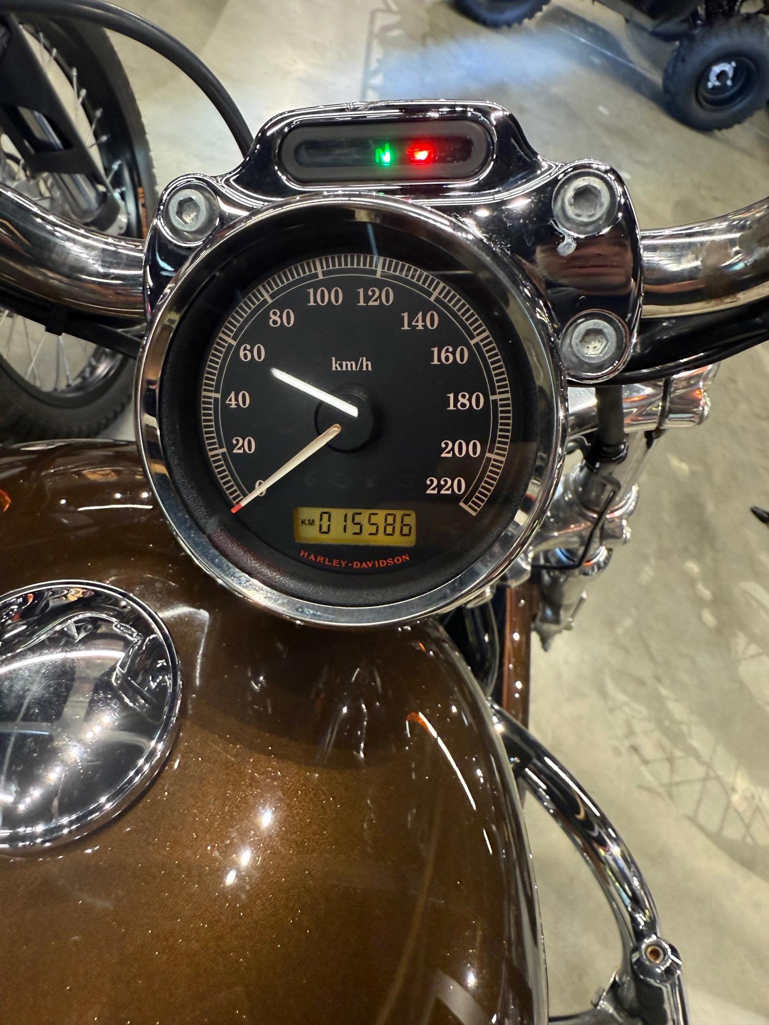 2013 Harley-Davidson® SPORTSTER 1200 ANNIVERSARY - Photo 2