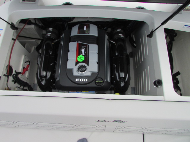 2025 Sea Ray 190 SPX - Photo 15