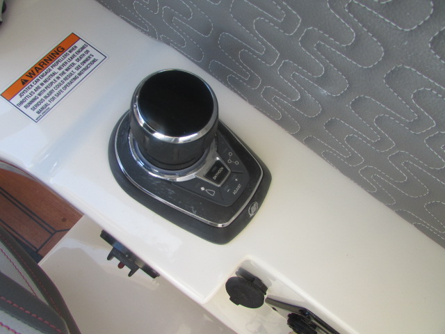 2020 Sea Ray 350 SLX Outboard - Photo 17