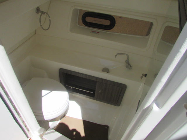 2020 Sea Ray 350 SLX Outboard - Photo 18