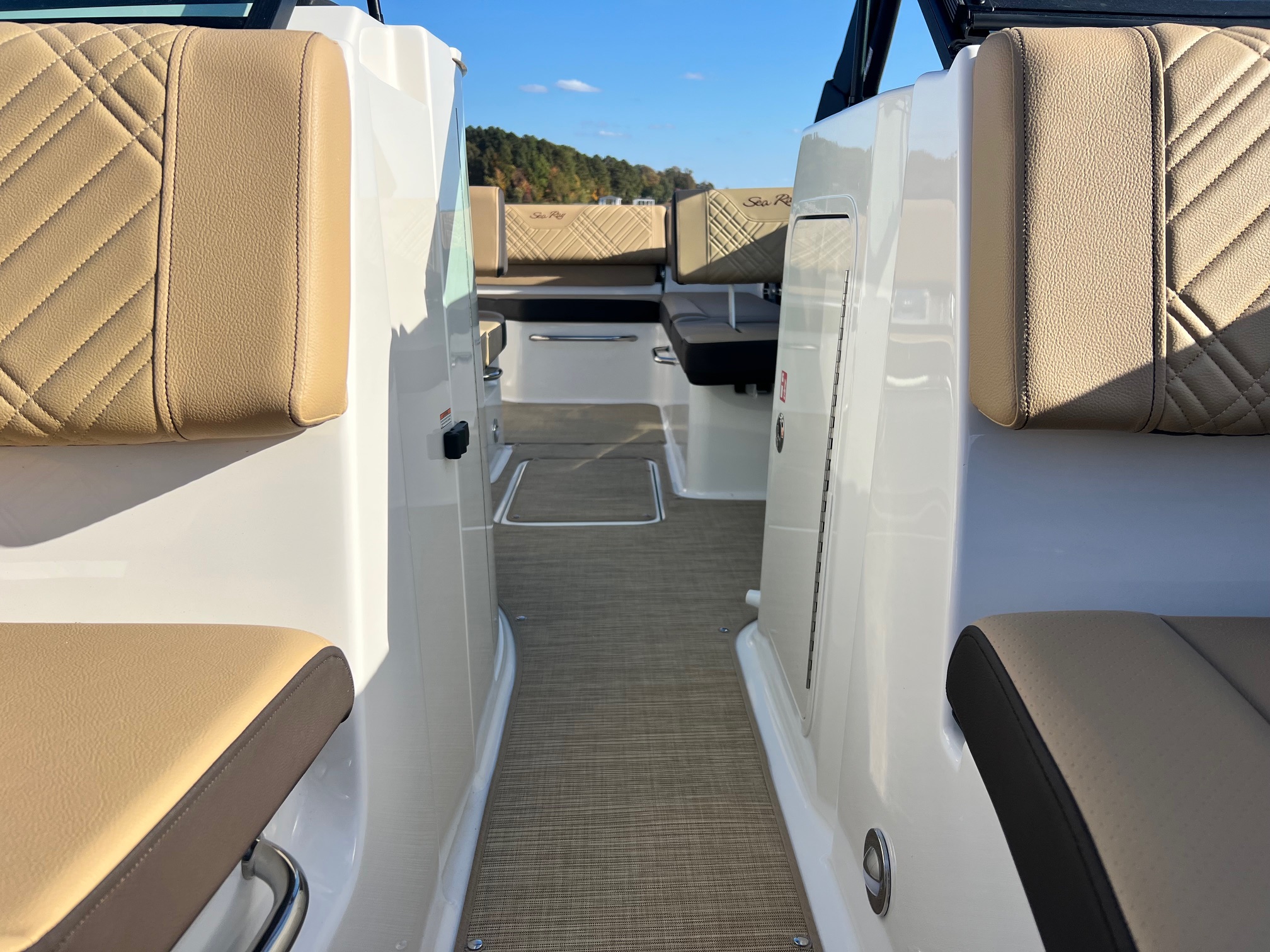2025 Sea Ray SDX 250 - Photo 8