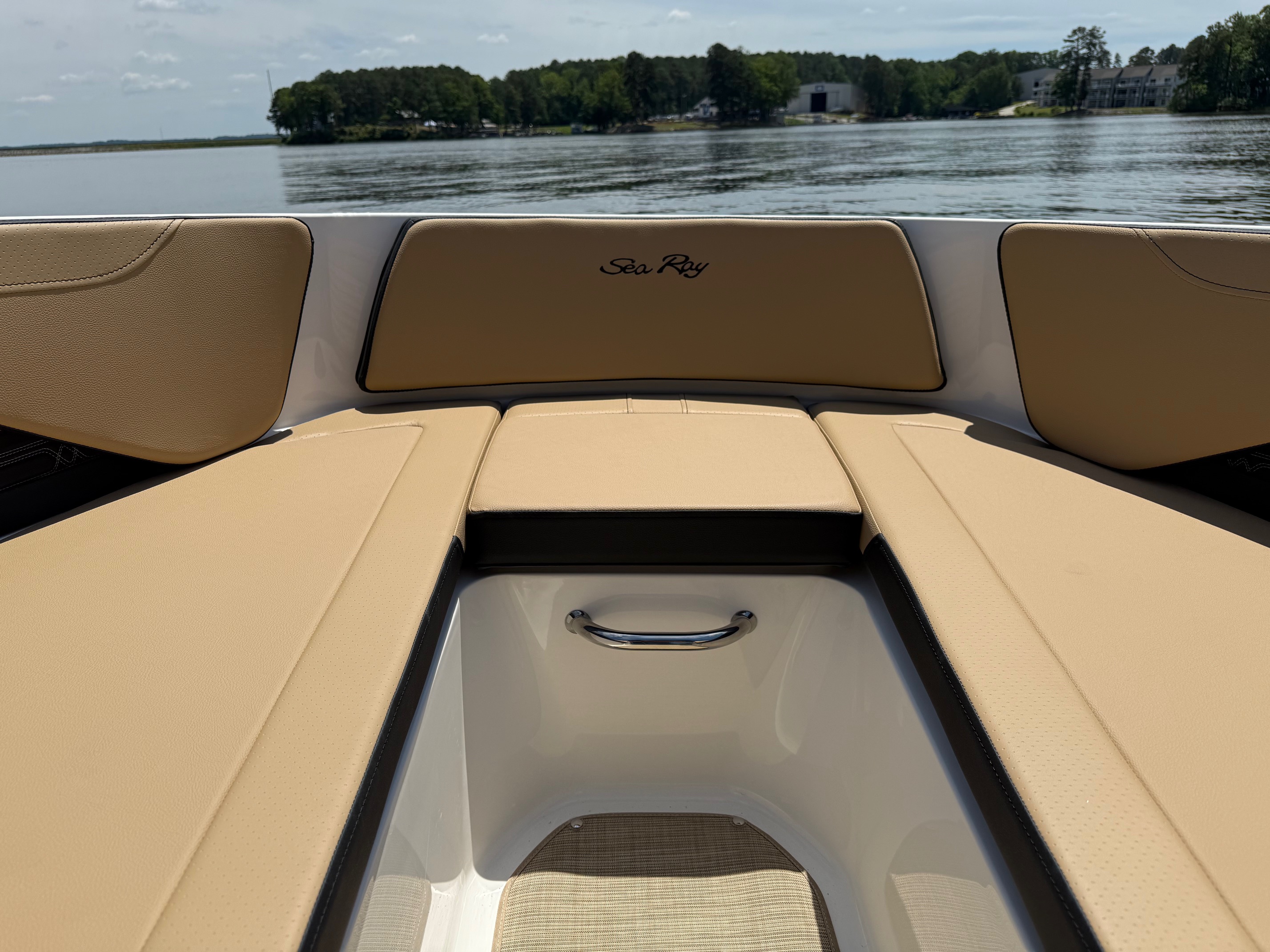 2025 Sea Ray SPX 190 - Photo 5