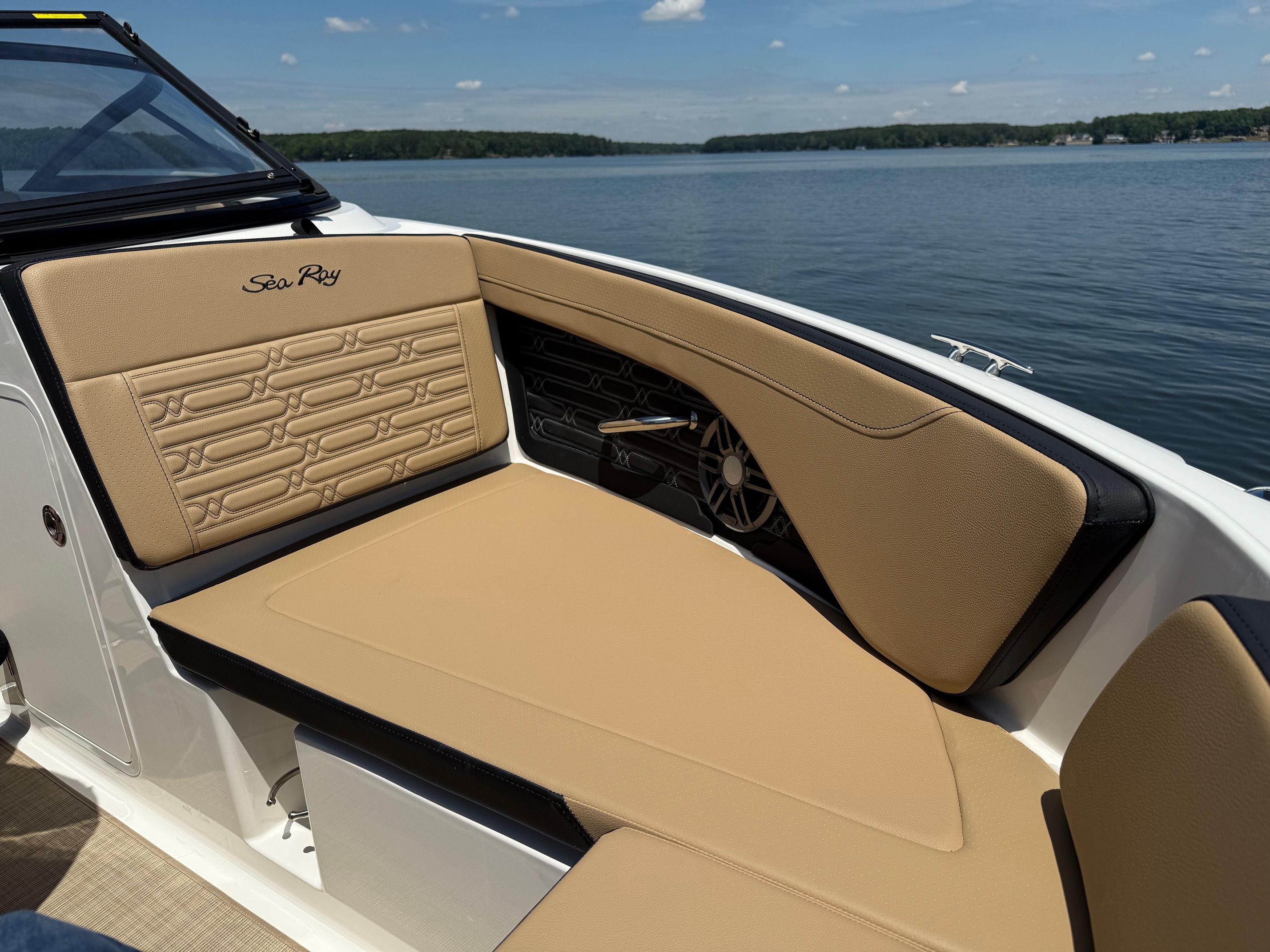 2025 Sea Ray SPX 190 - Photo 6