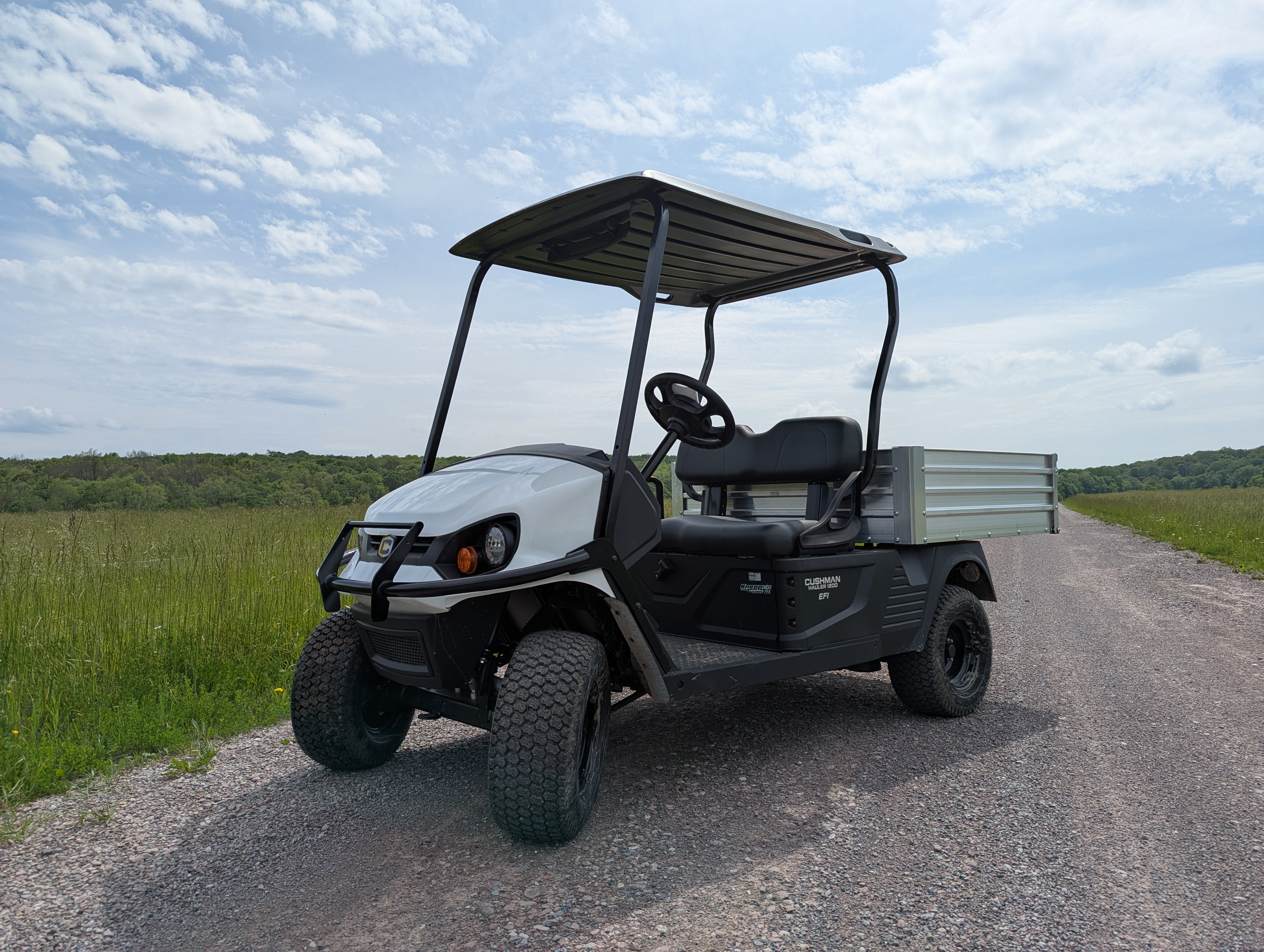 2024 Cushman Hauler Pro & 1200 Series Hauler 1200 EFI Gas for Sale