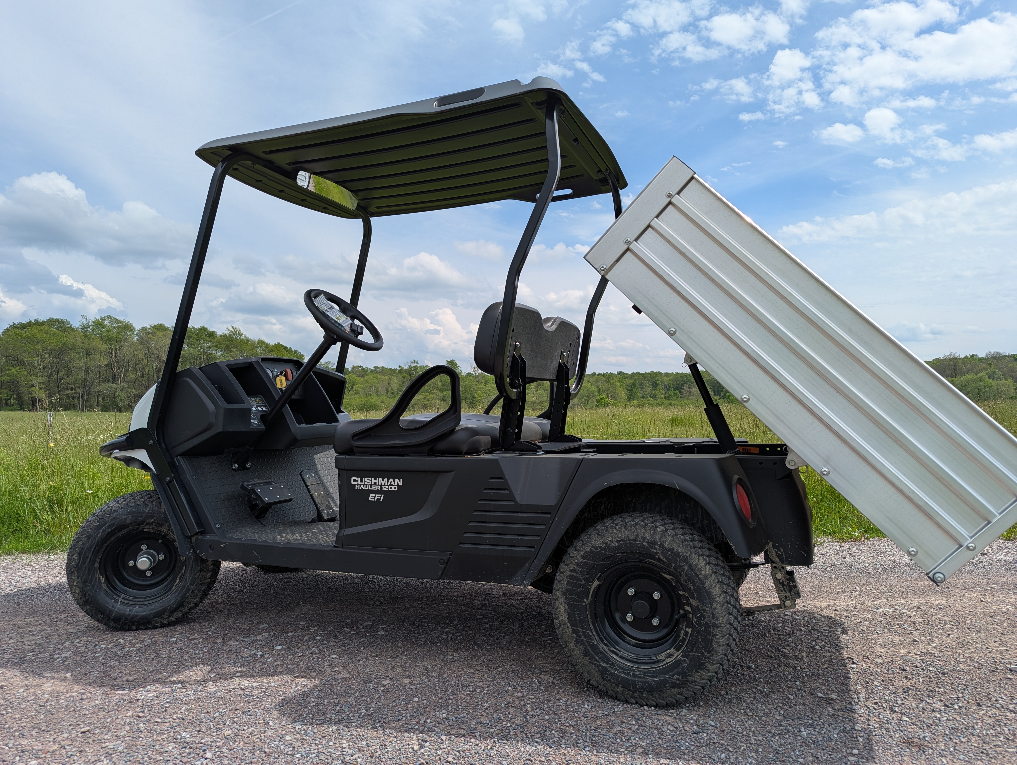 2024 Cushman Hauler Pro & 1200 Series Hauler 1200 EFI Gas for Sale