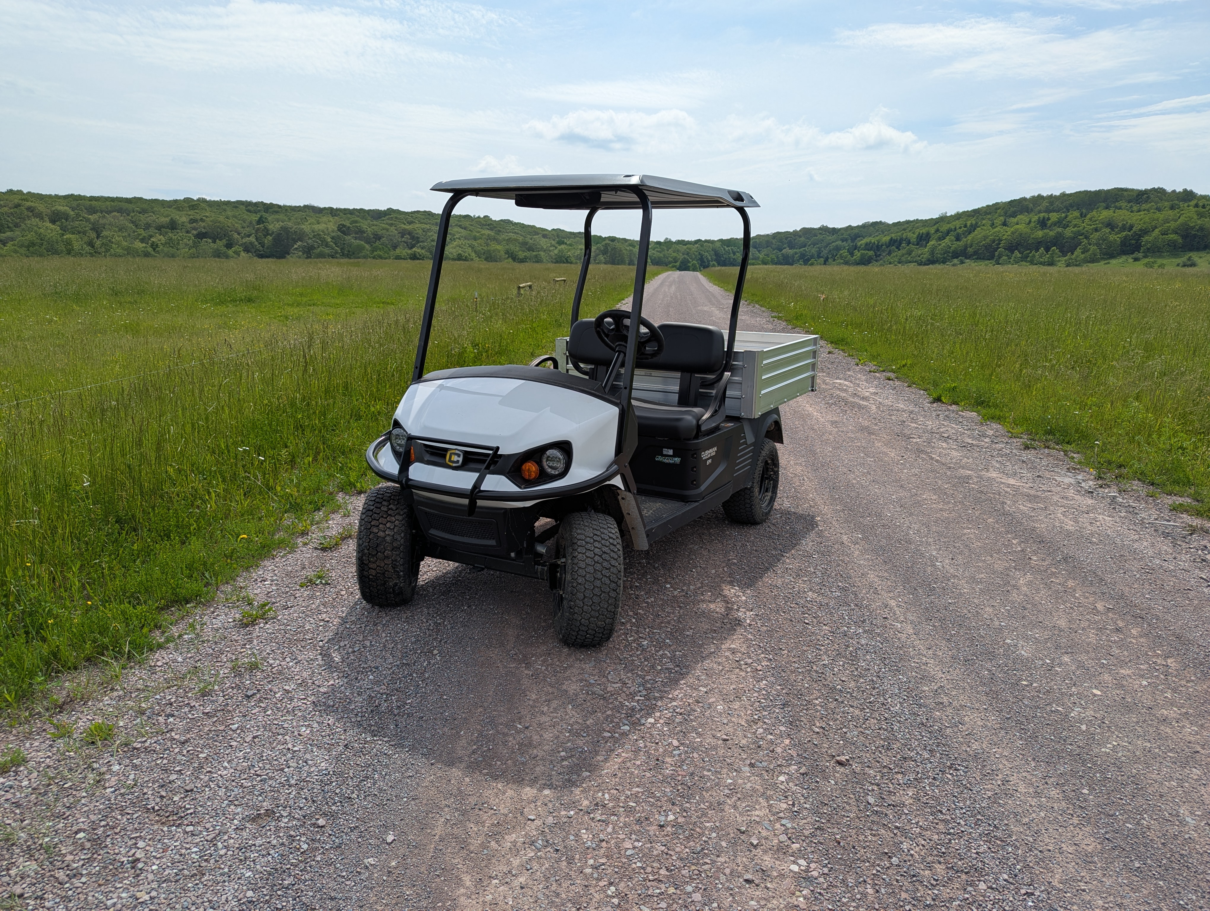 2024 Cushman Hauler Pro & 1200 Series Hauler 1200 EFI Gas for Sale