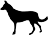 canine-img