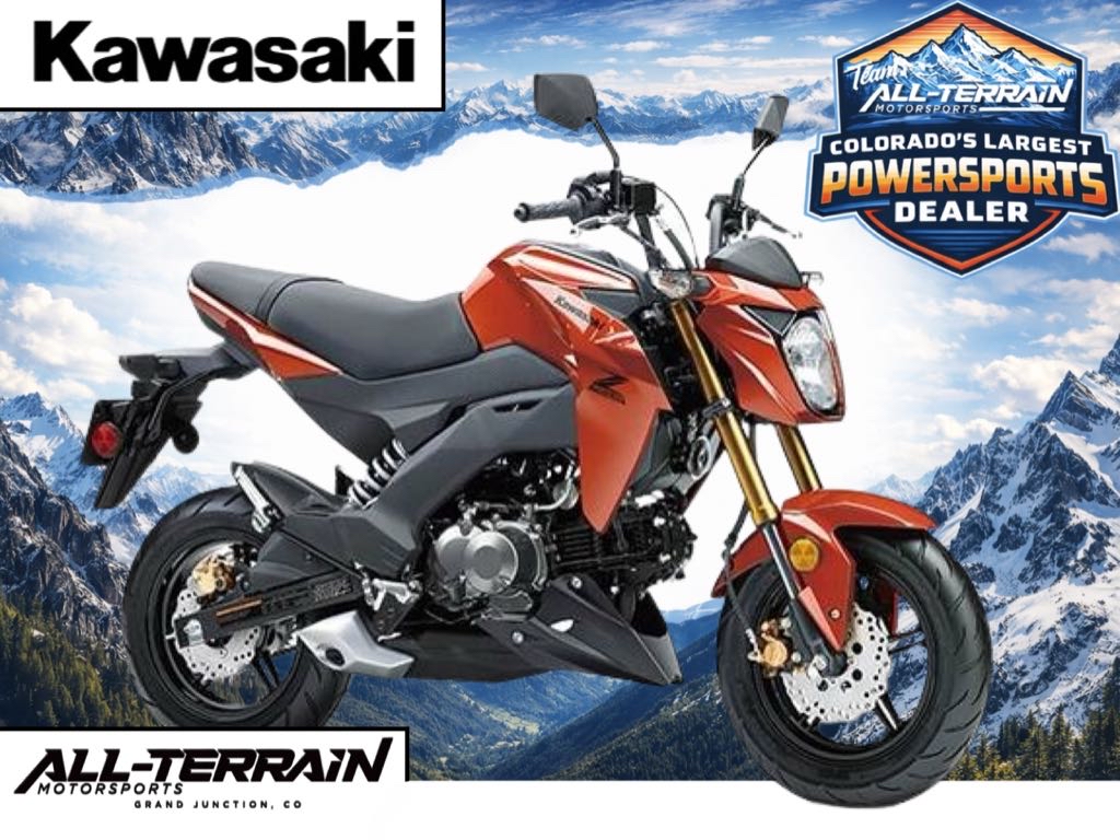 2025 Kawasaki Z125 PRO for Sale | All-Terrain Motorsports, Inc.