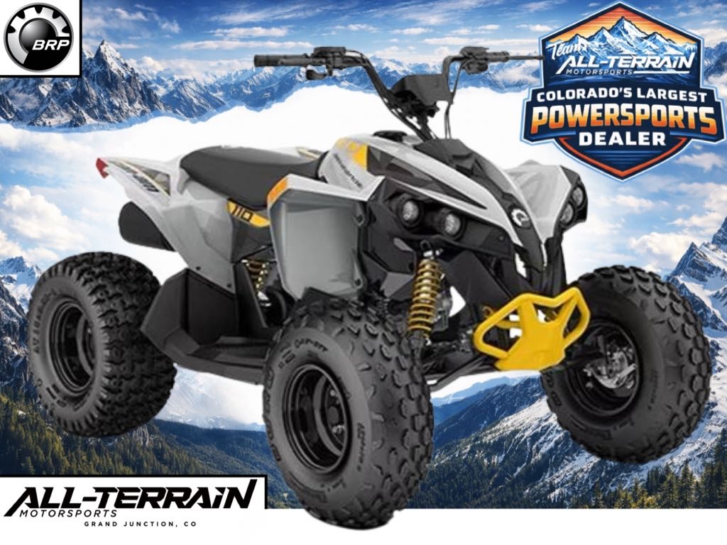 Can-Am Renegade