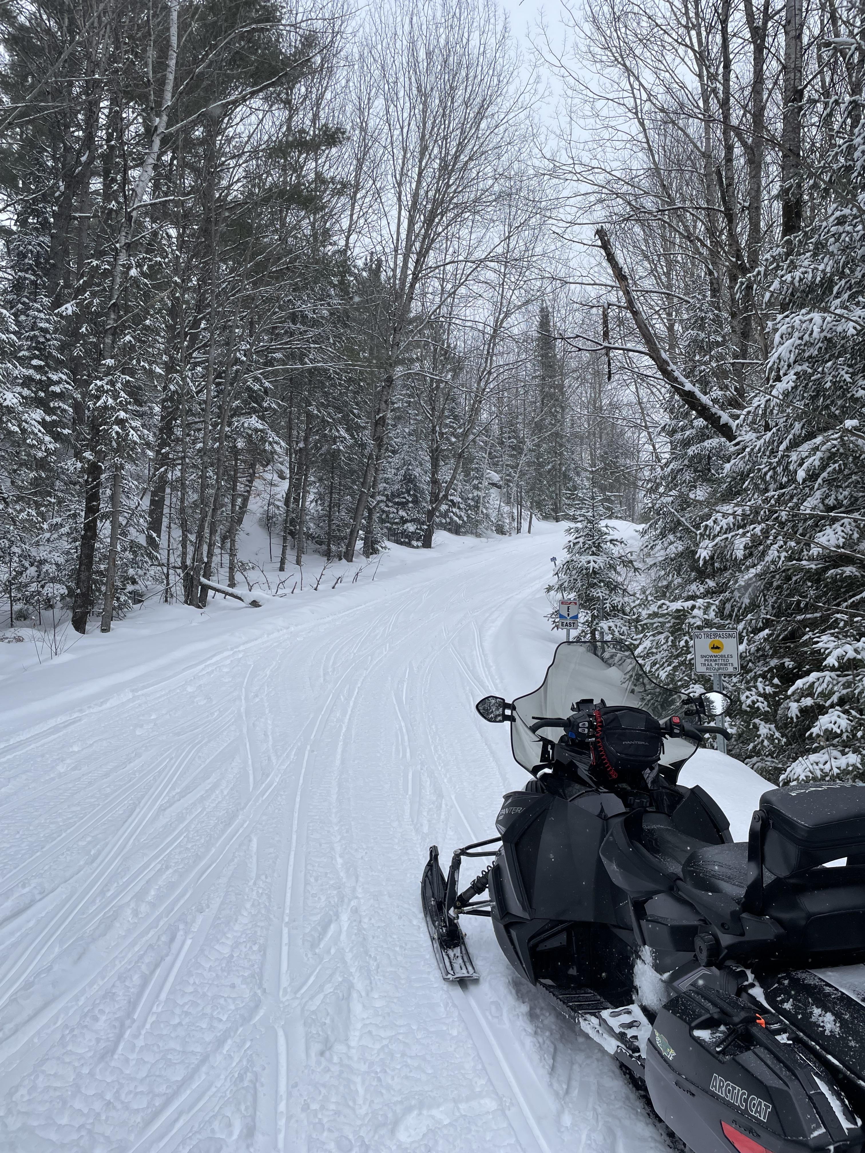 2017 Arctic Cat PANTERA 7000 LTD - Photo 5