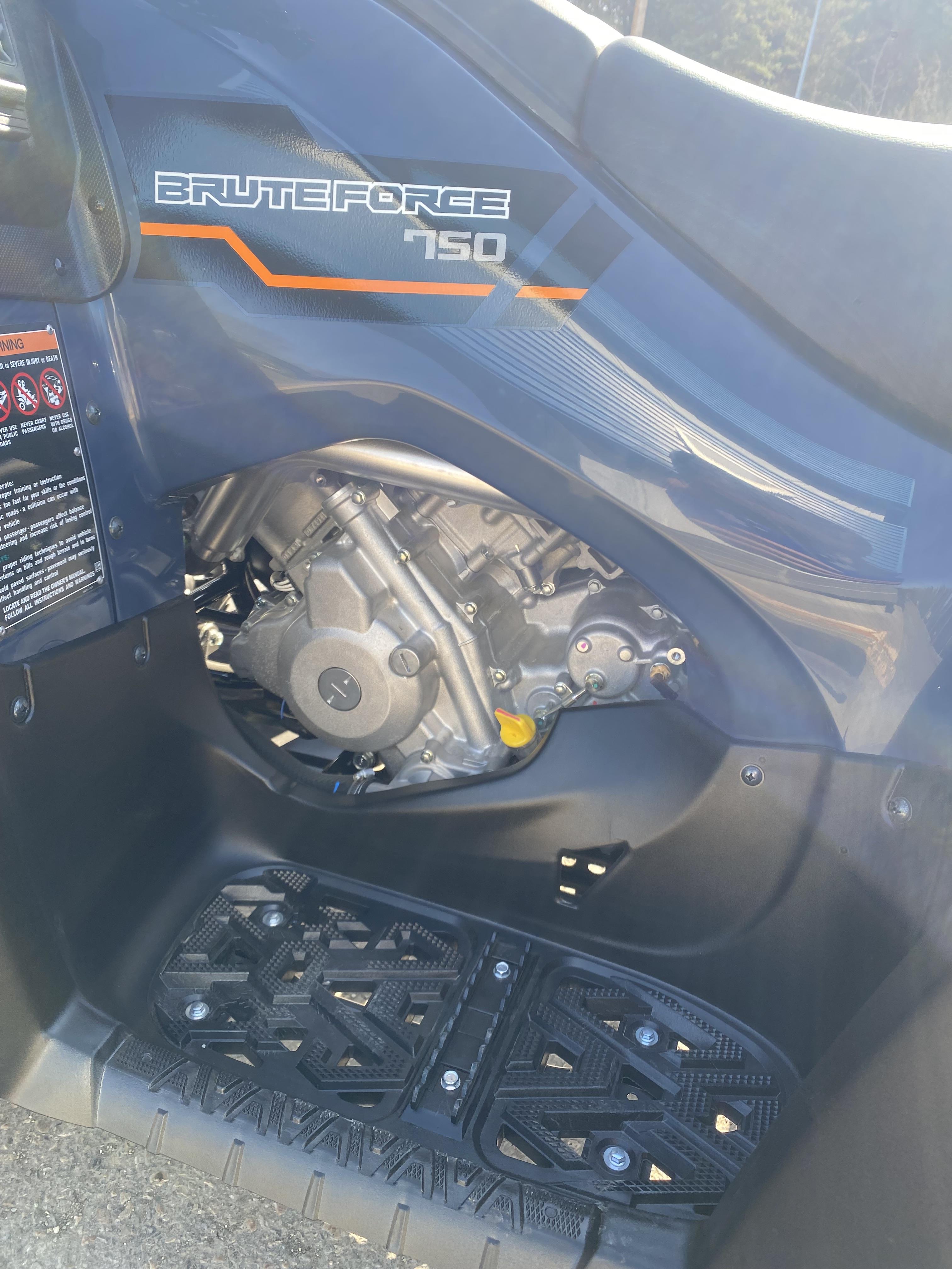 2025 Kawasaki BRUTE FORCE 750 EPS - Photo 12