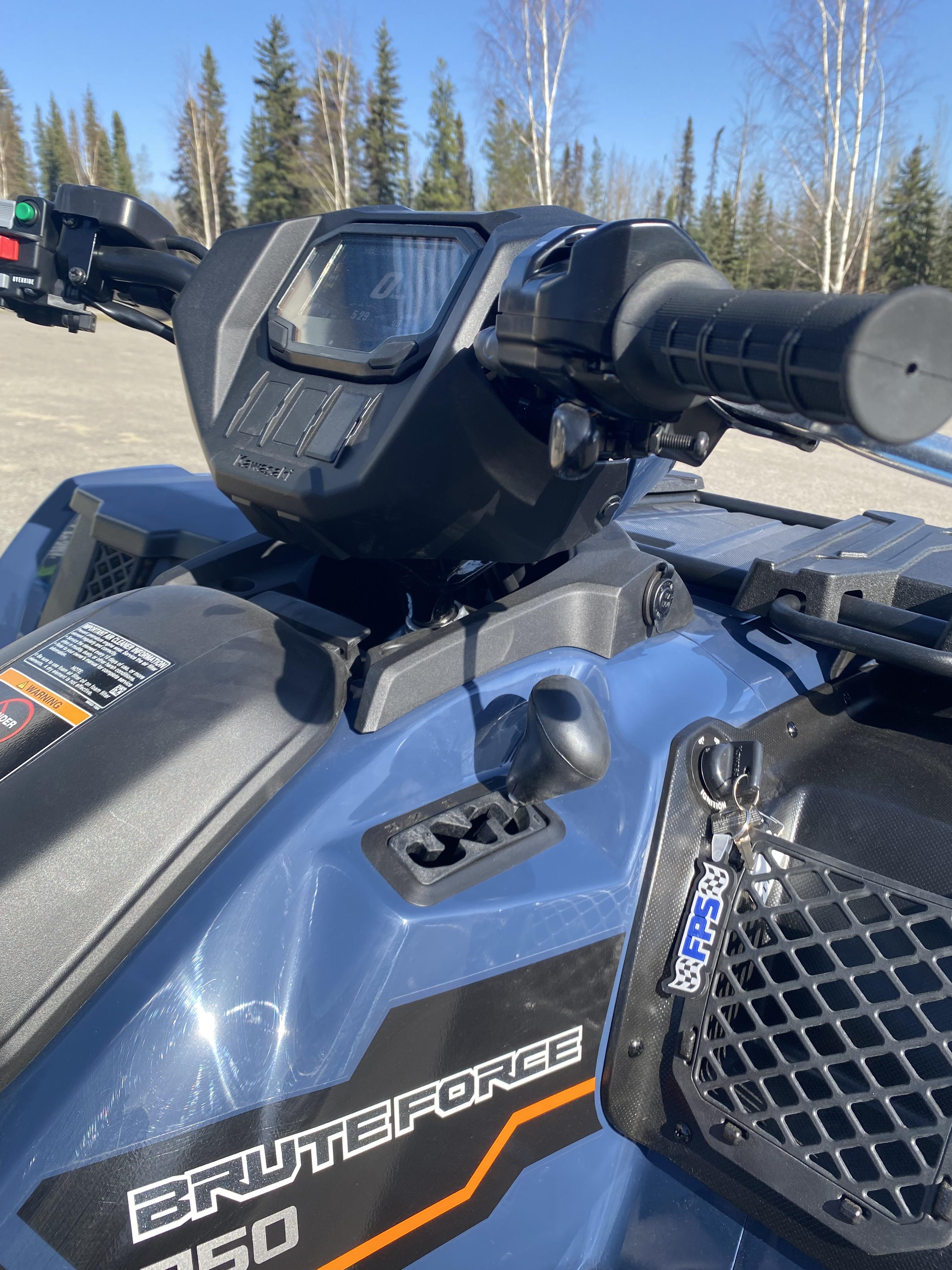 2025 Kawasaki BRUTE FORCE 750 EPS - Photo 6