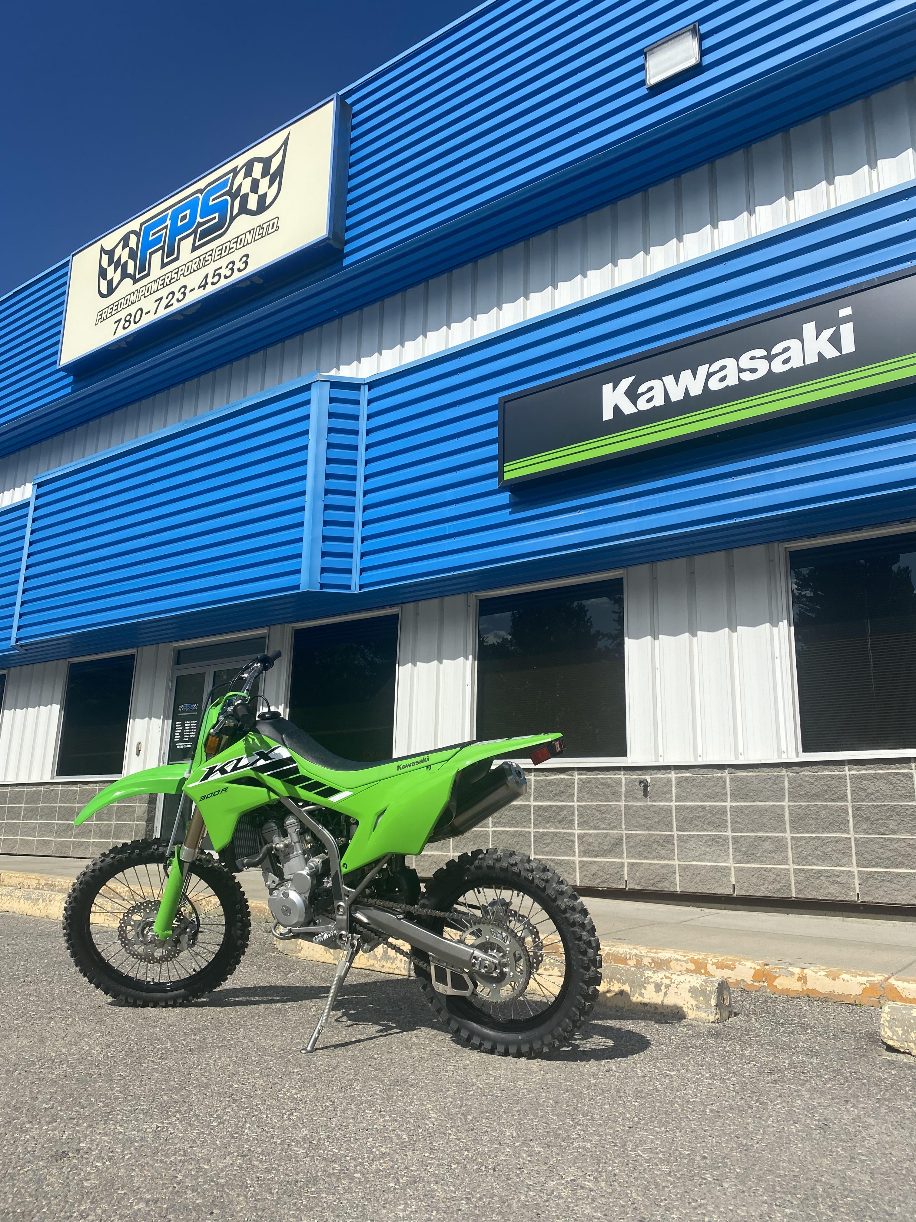 2025 Kawasaki KLX® 300R - Photo 11