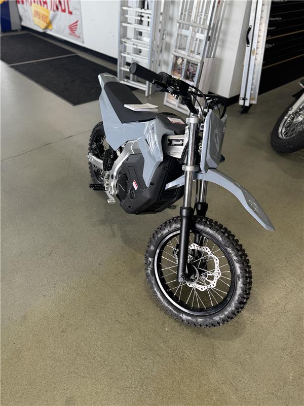 2024 Greenger G3 - Photo 4