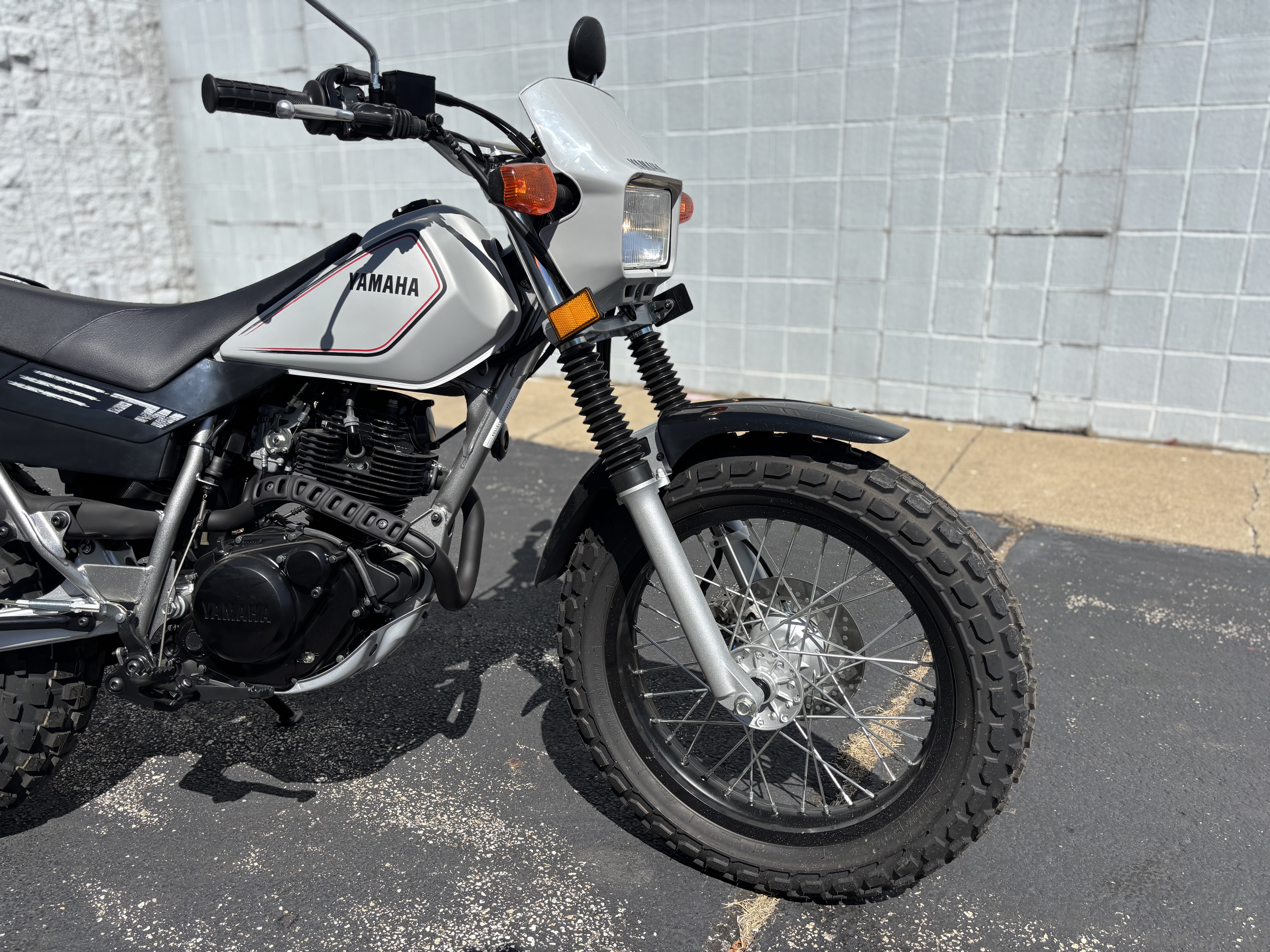 2024 Yamaha TW200 - Photo 3