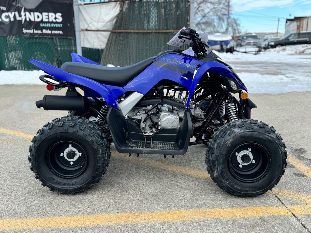 2025 Yamaha RAPTOR 110