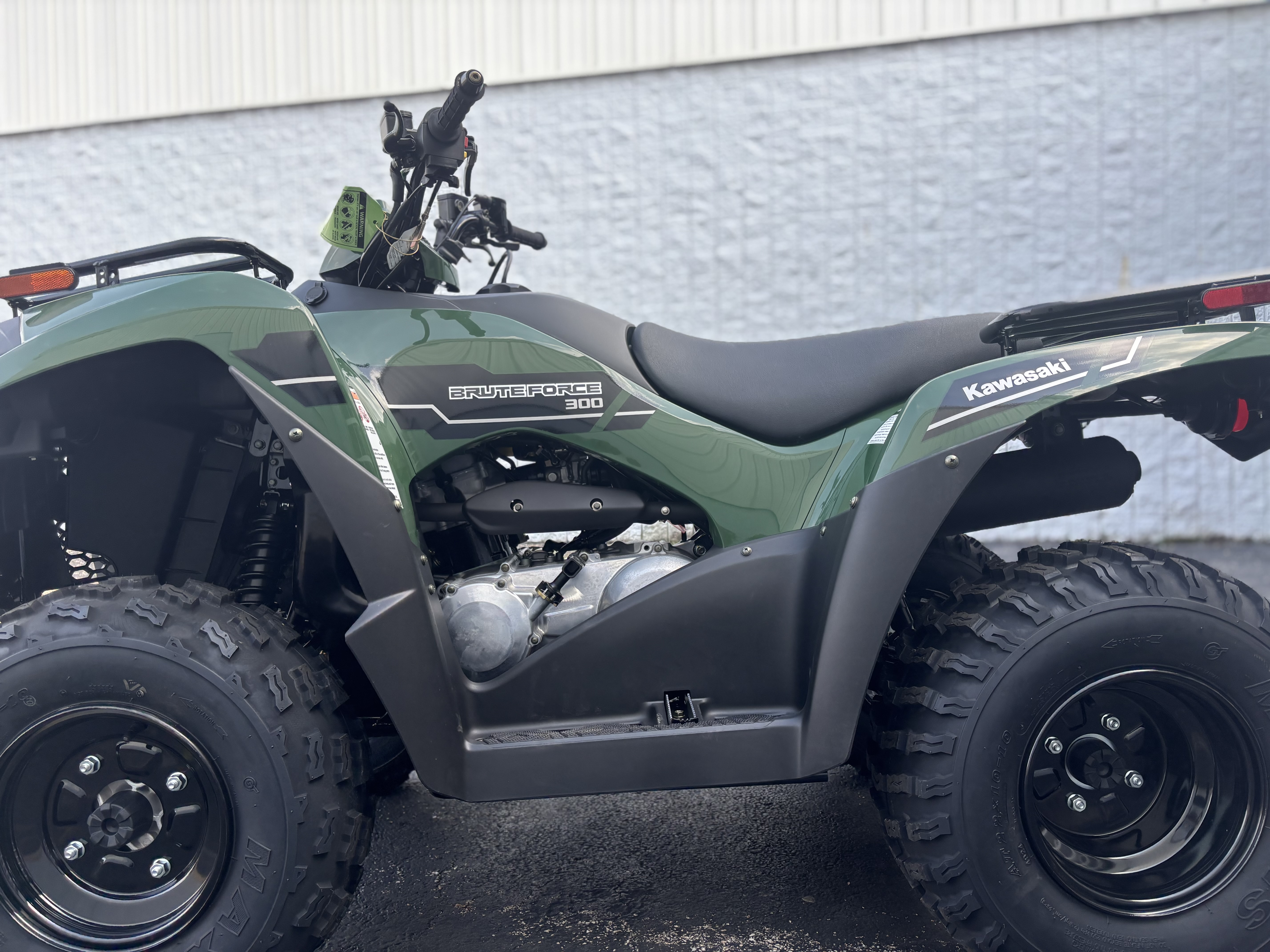 2025 Kawasaki BRUTE FORCE 300 - Photo 9