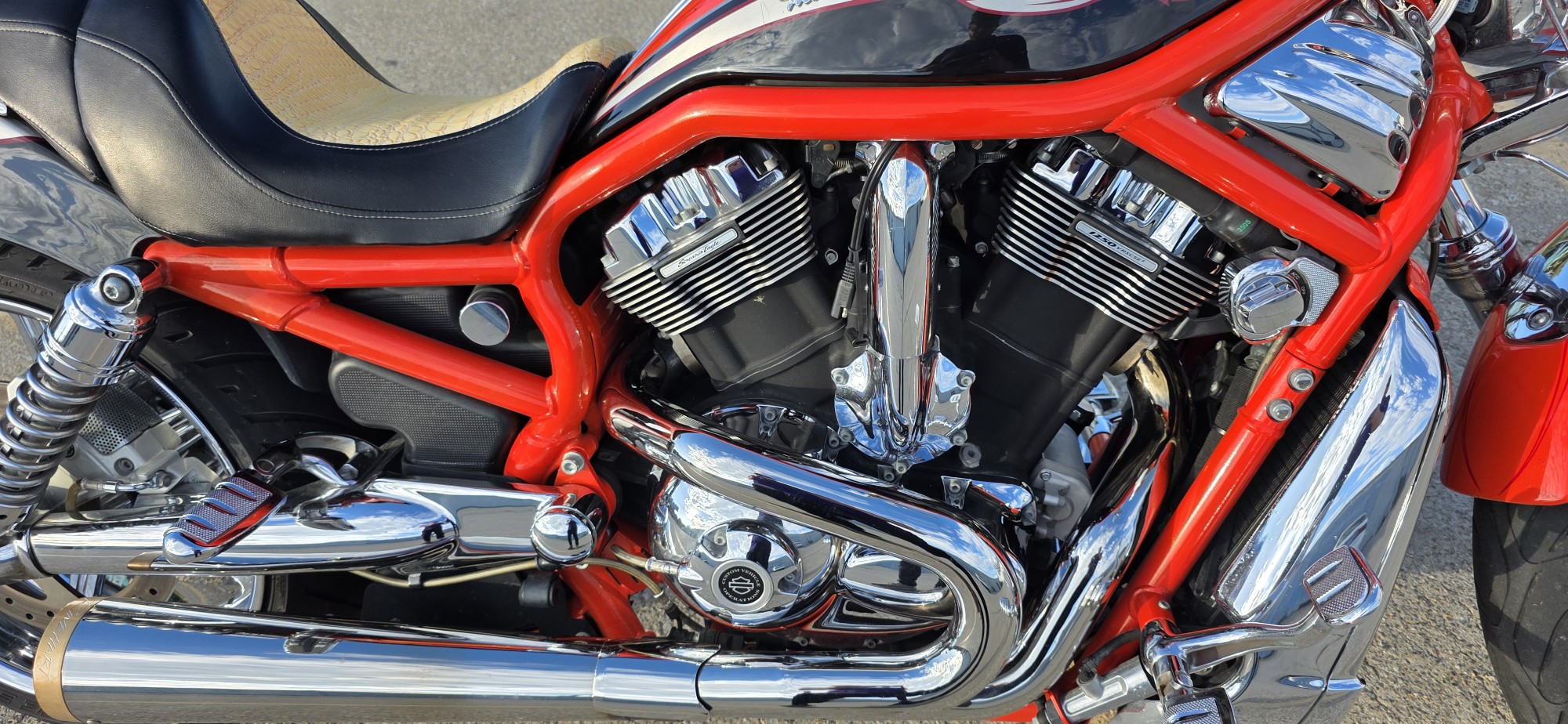 2006 Harley-Davidson® CVS VROD SE2 - Photo 3
