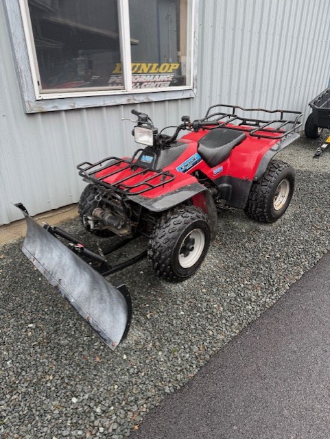 Kawasaki Bayou 300 Image