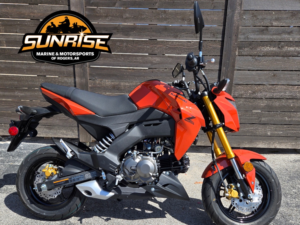 sunriseページ New 2025 Kawasaki Ninja ZX-10R Motorcycles for Sale in