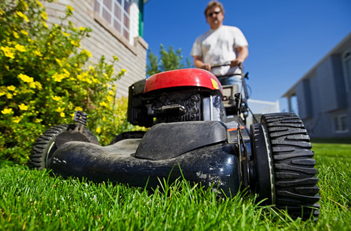 Home Mustang Equipment