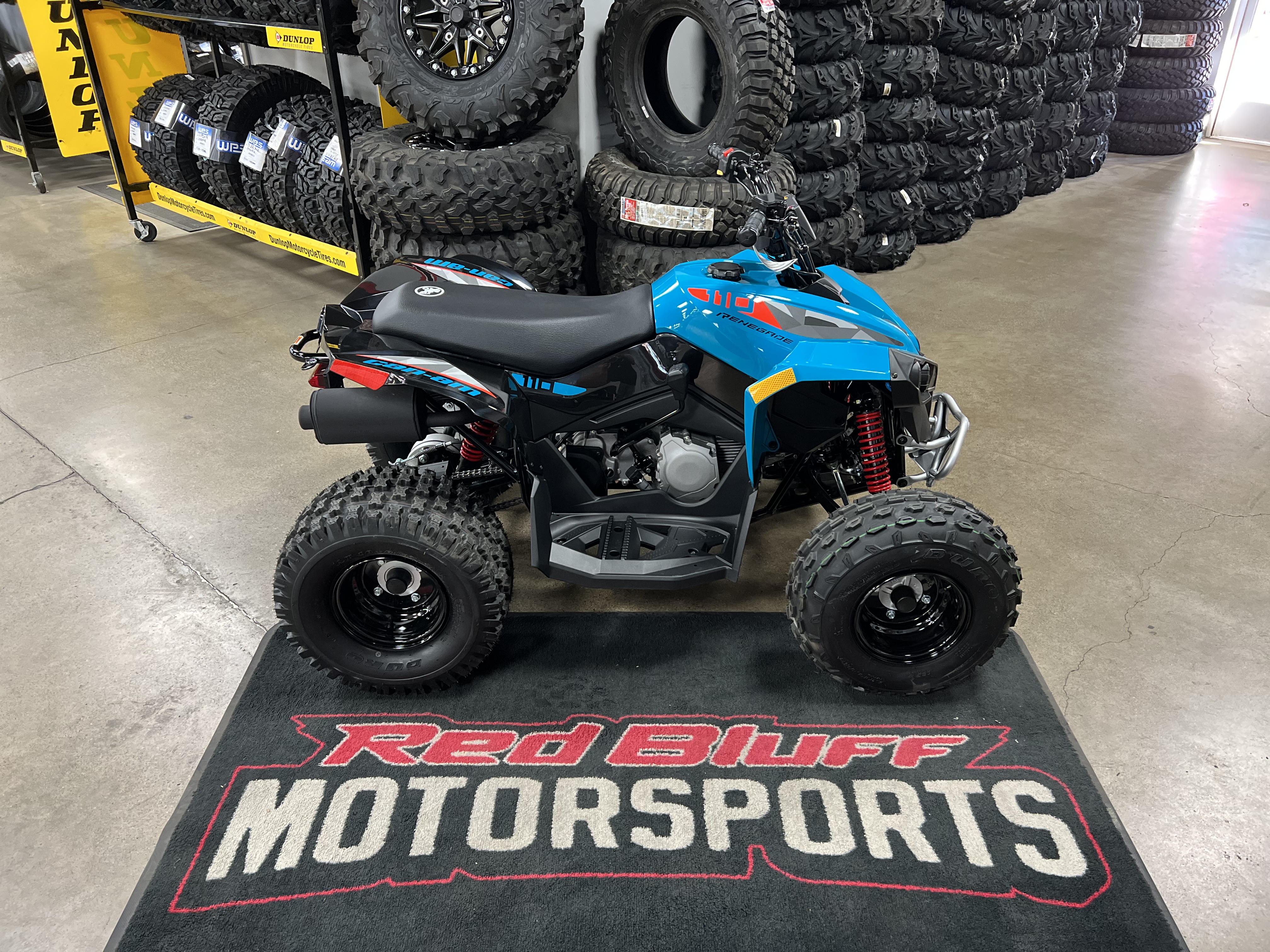 Can-Am Renegade 110 EFI Image