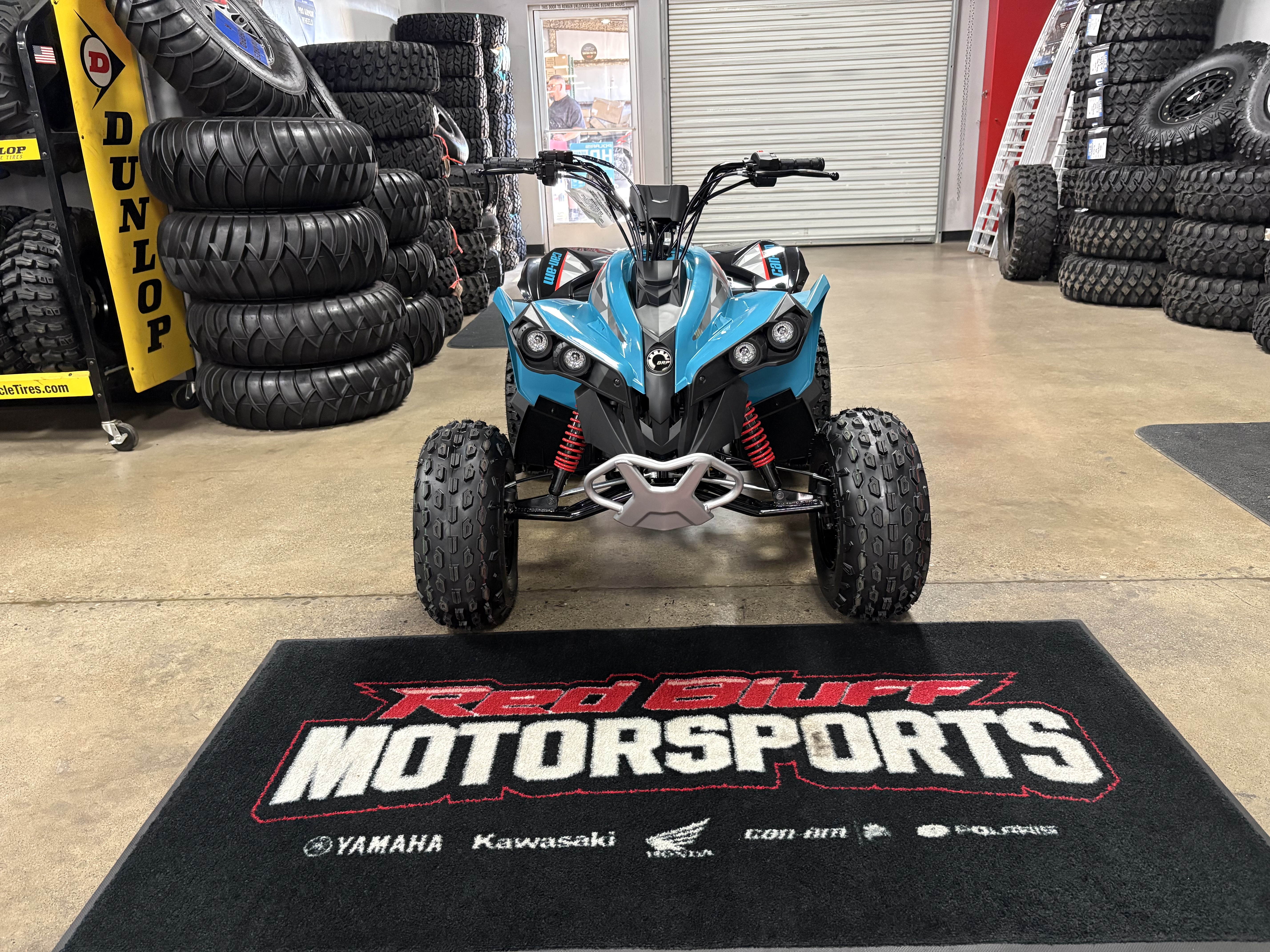 2026 Can-Am Renegade 110 EFI - Photo 2