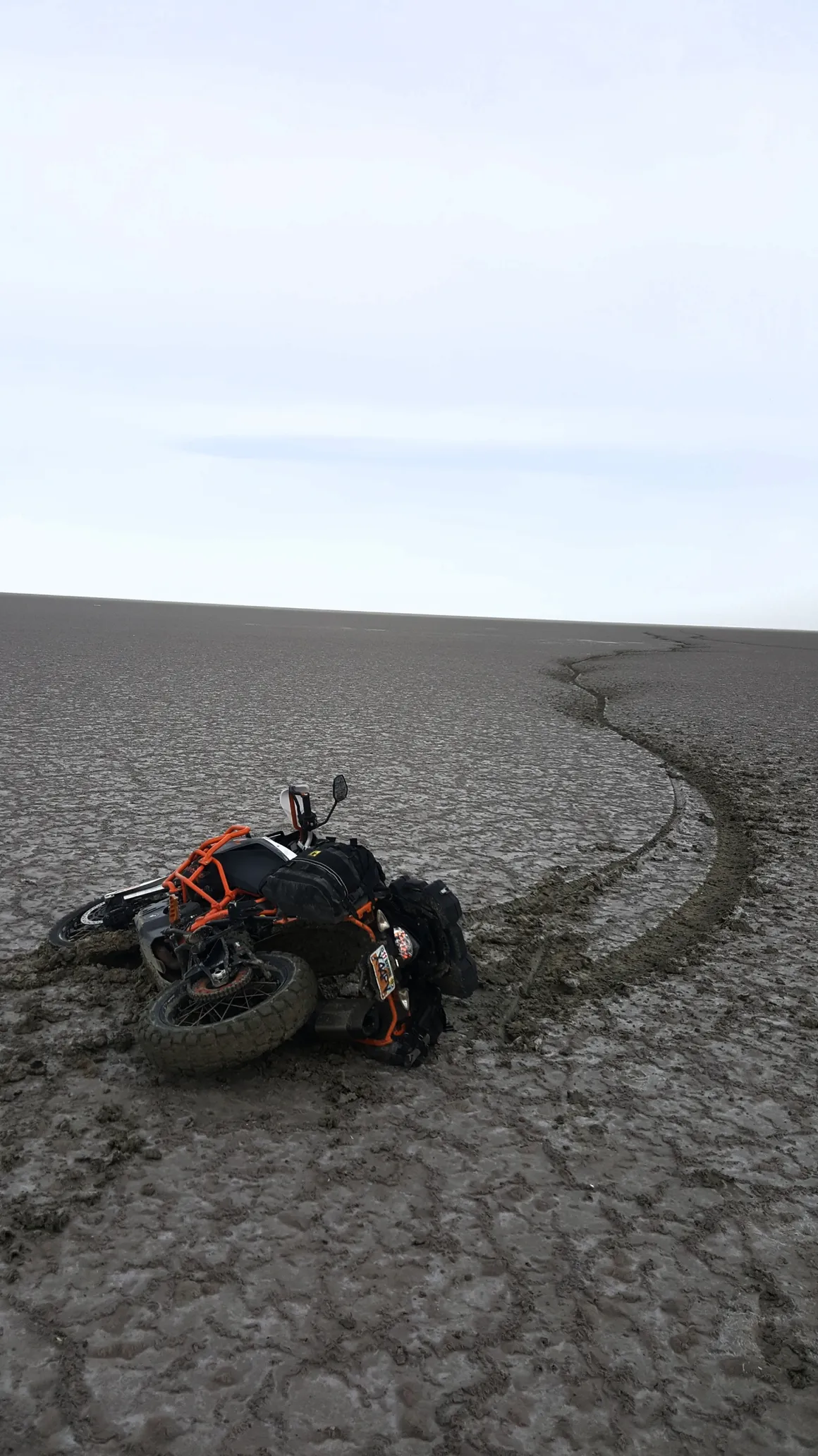 Gallery Fastback Moto Woods Cross, UT (385) 7772536