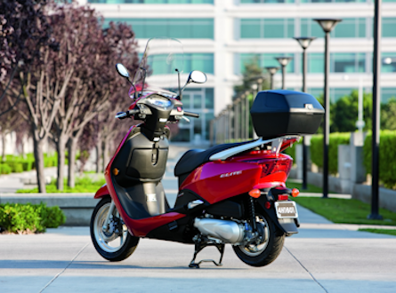 Scooty accessories online hotsell