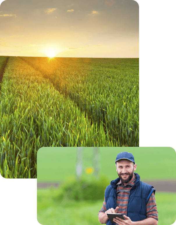 Home Milton Rental & Sales CTR., Inc. Milton, VT (802) 8934326