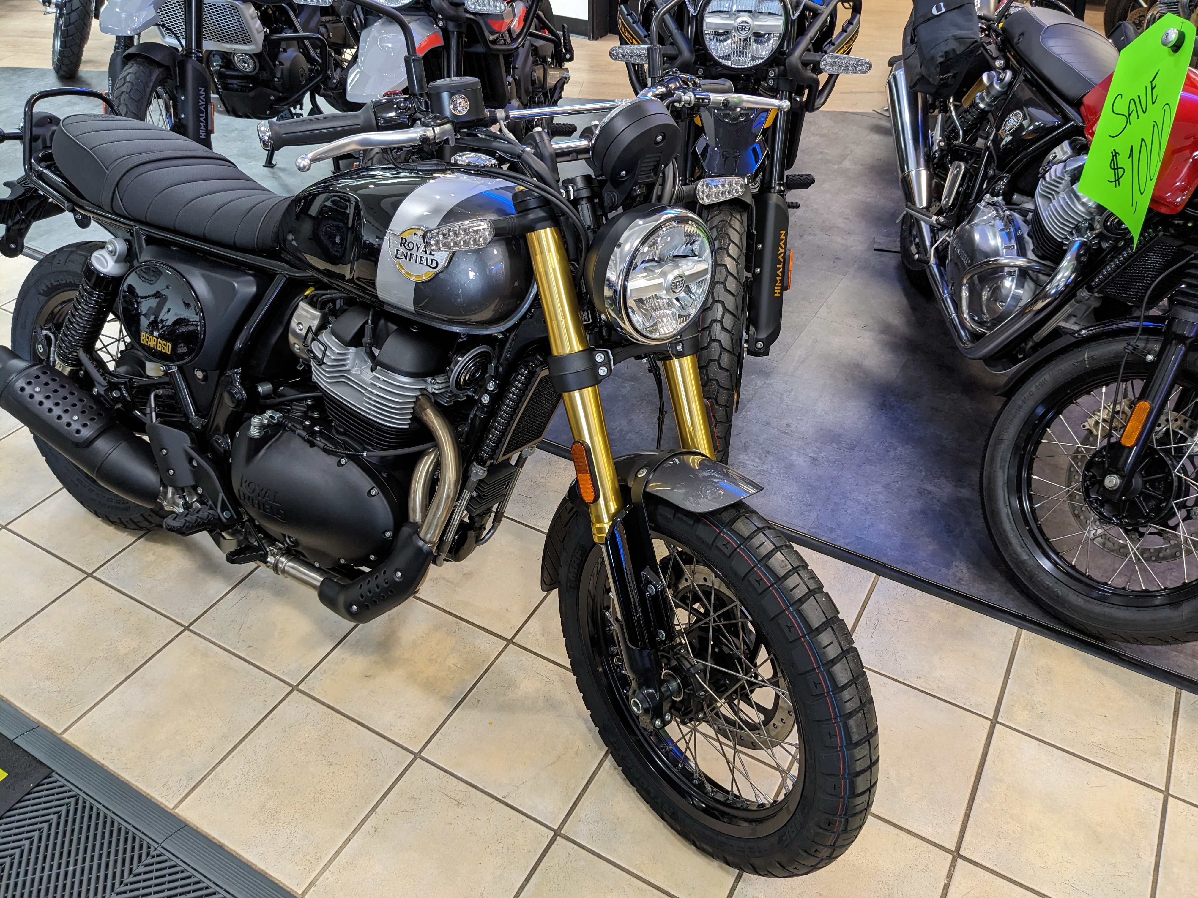 2025 Royal Enfield Bear 650 - Photo 6
